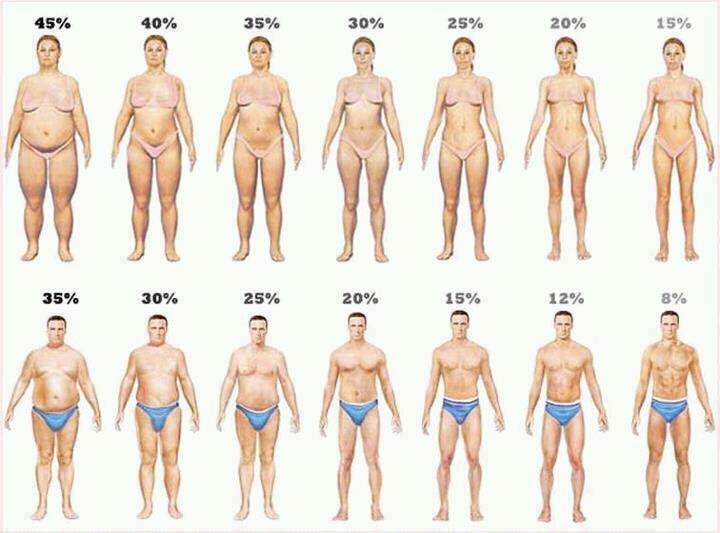 vetpercentage